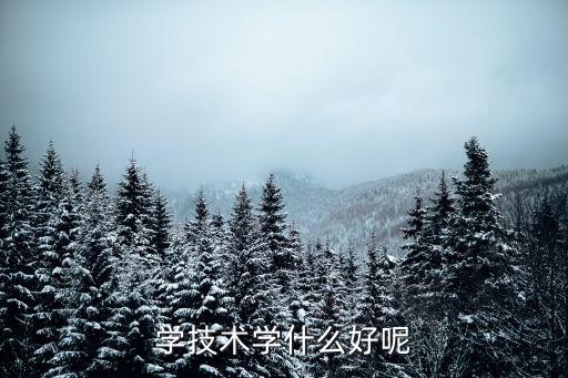 自学什么好呢,自学一门什么技术好