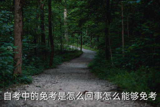自考免考是什么意思,自考免考哪些科目
