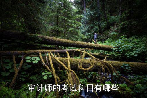 审计师考试怎么通过,初级审计师难考吗