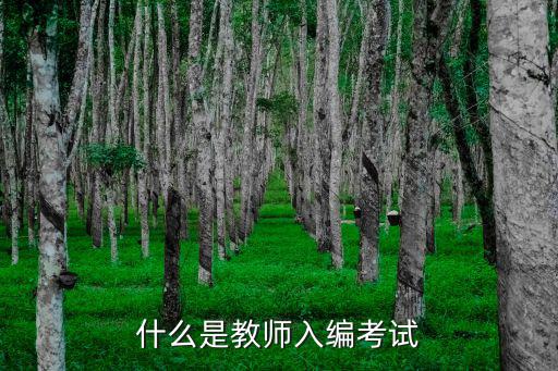 什么是教师入编考试