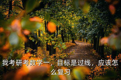 考研数学一应该怎么复习,2021考研数学该怎么复习