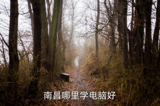 江西南昌电脑学院地址在哪里,南昌哪里学电脑好