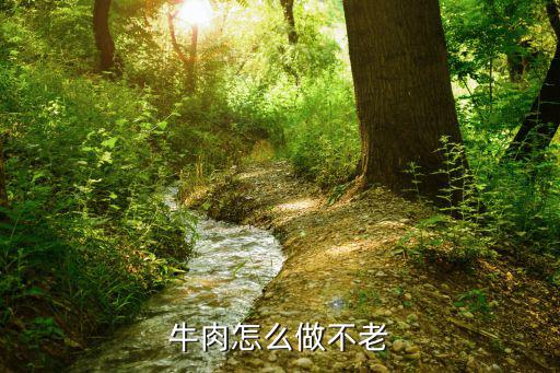 五香牛肉怎么做不老,牛肉怎么做不老