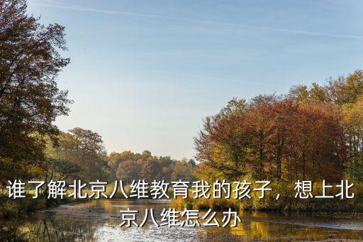 谁了解北京八维教育我的孩子，想上北京八维怎么办