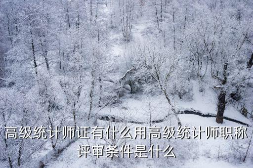 高级统计师有什么用,高级统计师考试难考吗