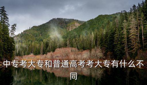 什么是中专什么是大专,中专与大专有什么分别