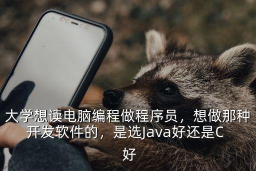 大学想读电脑编程做程序员，想做那种开发软件的，是选Java好还是C  好