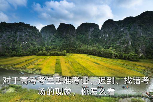 对于高考考生丢准考证、迟到、找错考场的现象，你怎么看