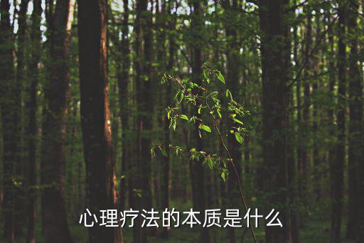 心理疗法的本质是什么