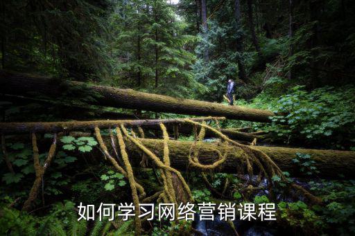 为什么学习网络营销,为什么要学习互联网营销