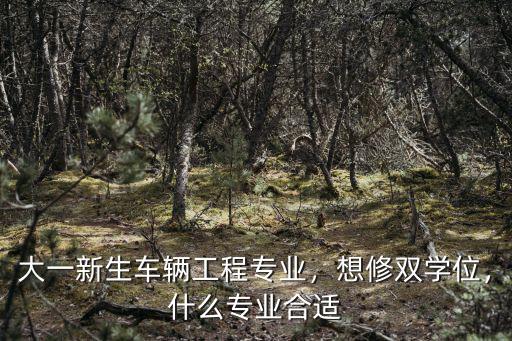 大一新生车辆工程专业，想修双学位，什么专业合适