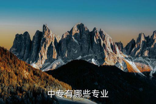 中专有哪些专业