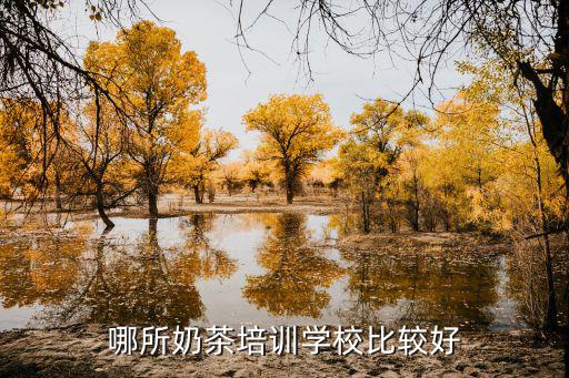 常州哪里有奶茶店培训学校,哪所奶茶培训学校比较好