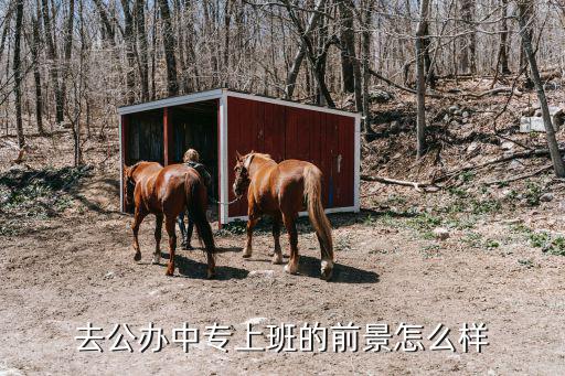 中专怎么样的,读中职怎么样