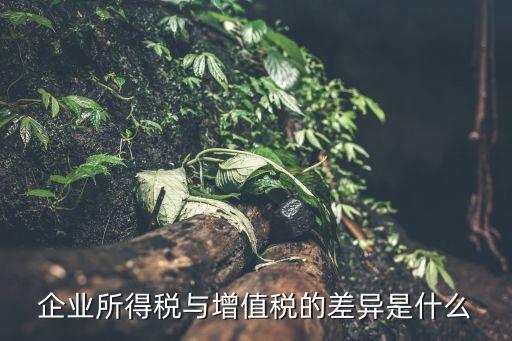 增值税为什么纳税,为什么要交个人所得税