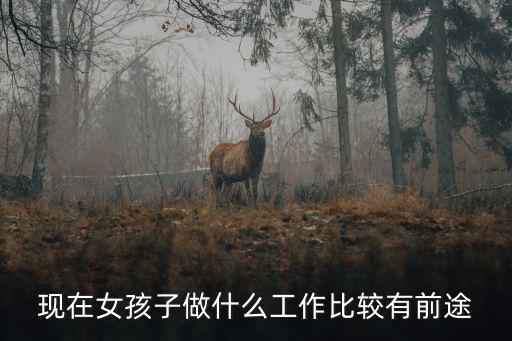 女孩子什么工作比较好,女孩子一般做什么职业比较好