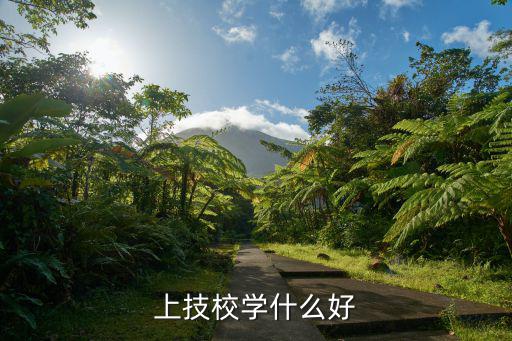 上技校学什么好
