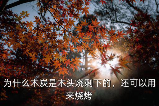为什么木炭是木头烧剩下的，还可以用来烧烤