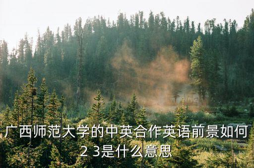 广西师范大学的中英合作英语前景如何2 3是什么意思