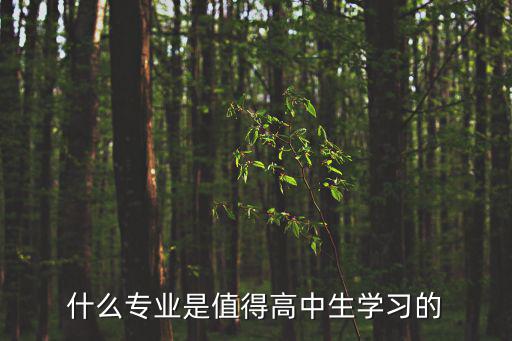 什么专业是值得高中生学习的