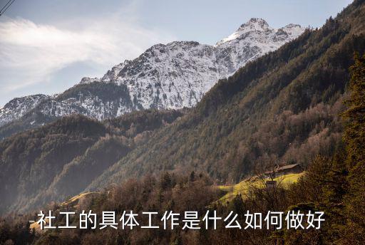 呼市社工主要是做什么,社工的具体工作是什么