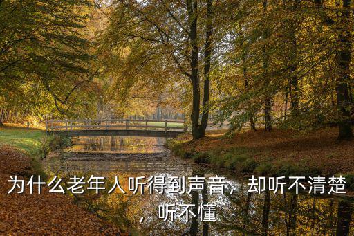 为什么老年人听得到声音，却听不清楚，听不懂