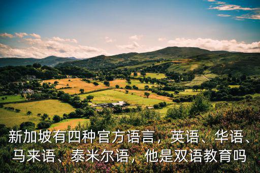 新加坡哪里学英语,你学英语是在哪里学习的