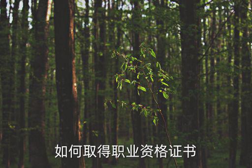 职业资格证是怎么考试,如何取得职业资格证书
