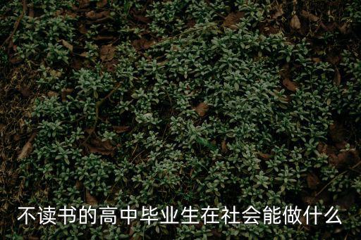 不读书的高中毕业生在社会能做什么