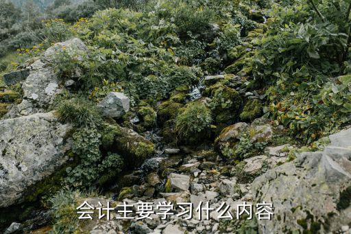 财会都要学什么,会计主要学习什么内容