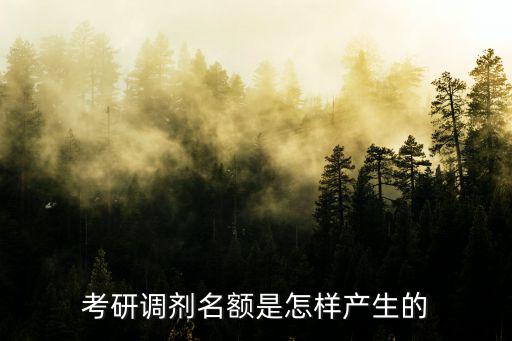 考研调剂名额是怎样产生的