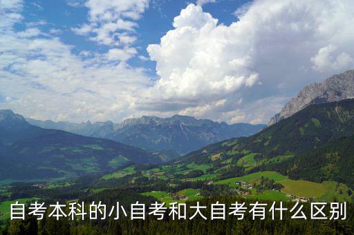 自考本科的小自考和大自考有什么区别