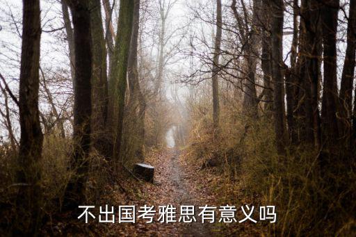 不出国考雅思有意义吗