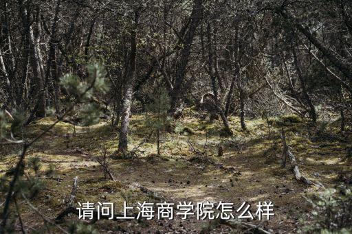 上海国耀学校怎么样,请问上海商学院怎么样
