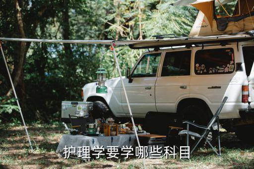 护理学要学哪些科目