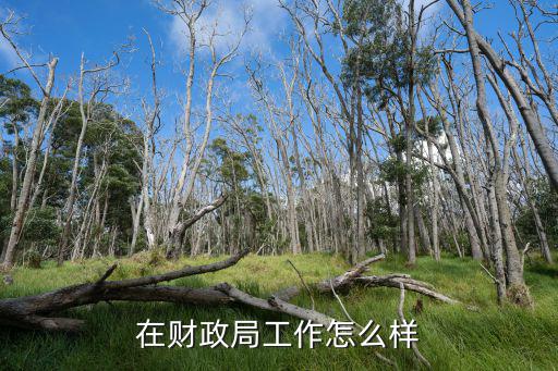在财政局工作怎么样