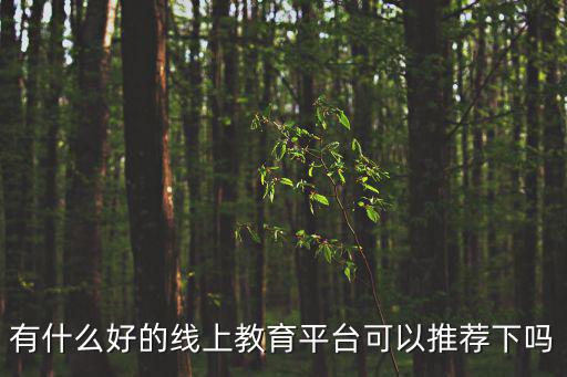 现在还有什么好的成人网,网教好还是成考好