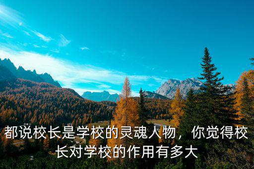 都说校长是学校的灵魂人物，你觉得校长对学校的作用有多大
