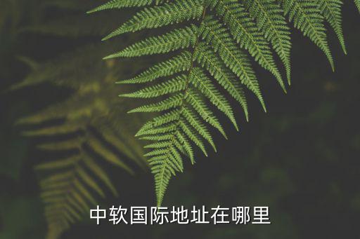 厦门中软国际怎么样,中软国际怎么样