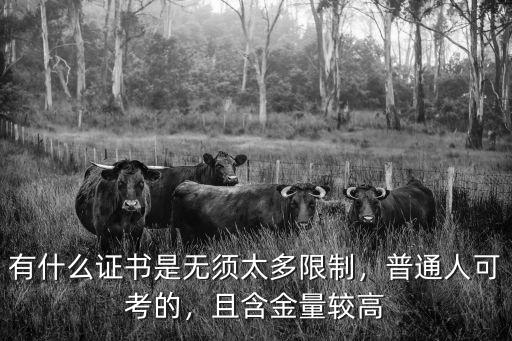 有什么证书是无须太多限制，普通人可考的，且含金量较高