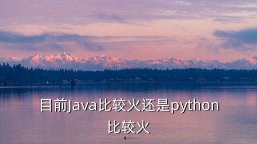 目前Java比较火还是python比较火