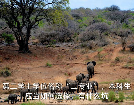第二学士学位俗称“二专业”，本科生应当如何选择，有什么坑