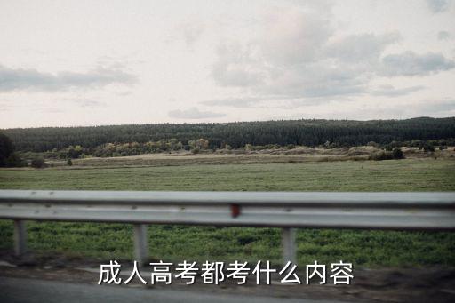 成人高考都考什么内容