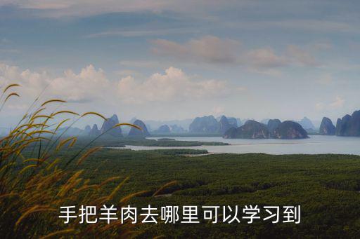 汤锅去哪里学,手把羊肉去哪里可以学习到