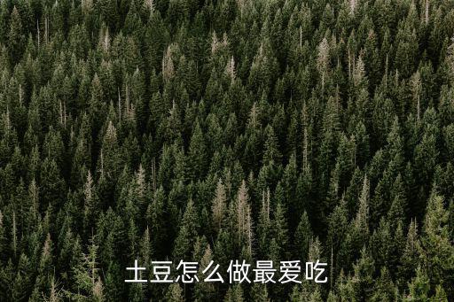 怎么做炕土豆,土豆咋做好吃