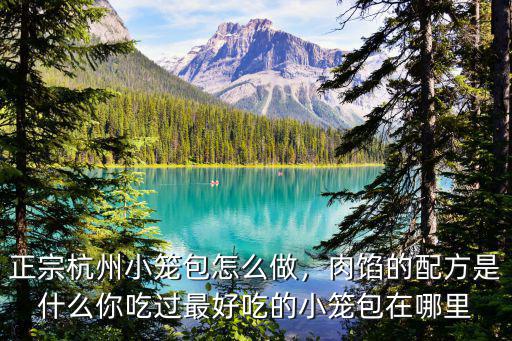 杭州小笼包在哪里,正宗杭州小笼包怎么做