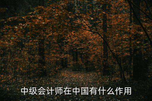 中级会计师有什么用,中级会计职称有什么用呢