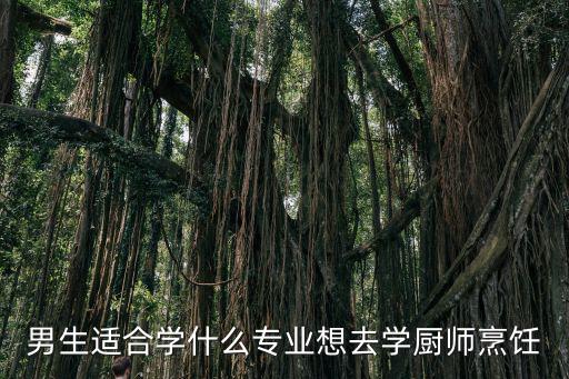 男生适合学什么专业想去学厨师烹饪
