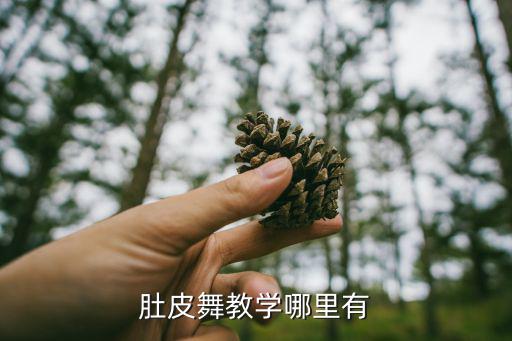 肚皮舞教学哪里有