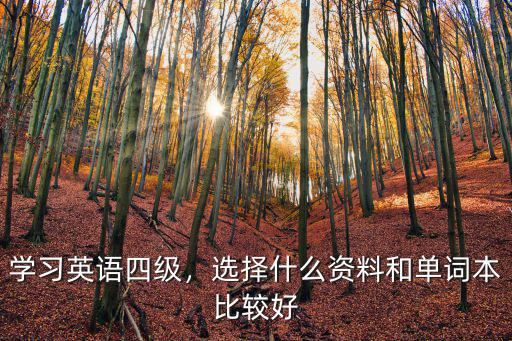 英语4级买什么书好,学习英语四级